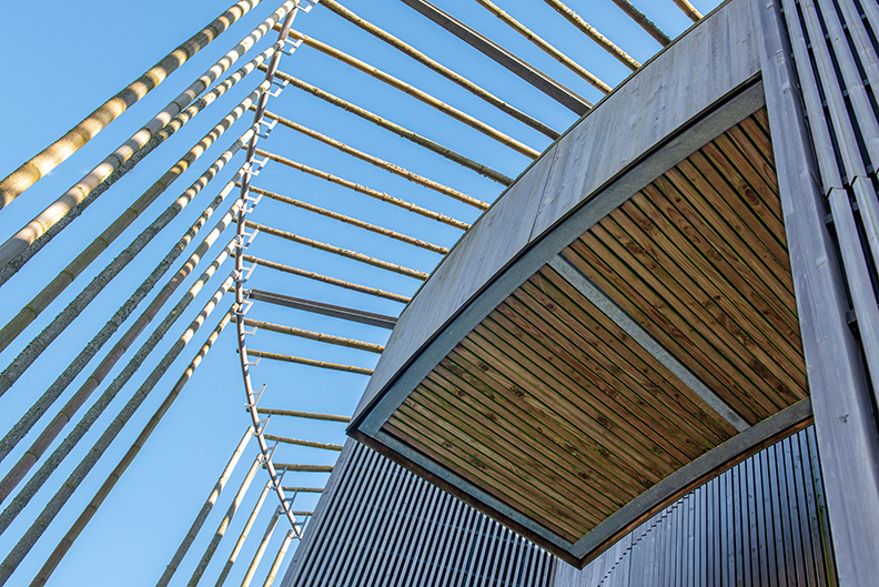 Photographe architecture Lyon Bâtiment d'architecture avec devanture ronde toit en bambou
