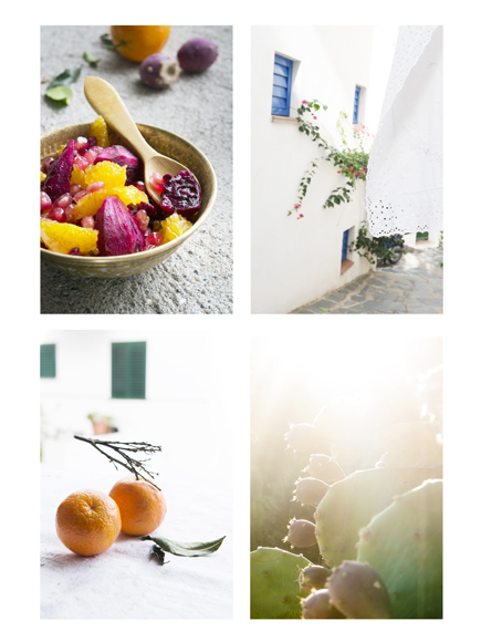 Photographe culinaire Lyon Cadaques fruits salade de fruits avec figues de barbarie
